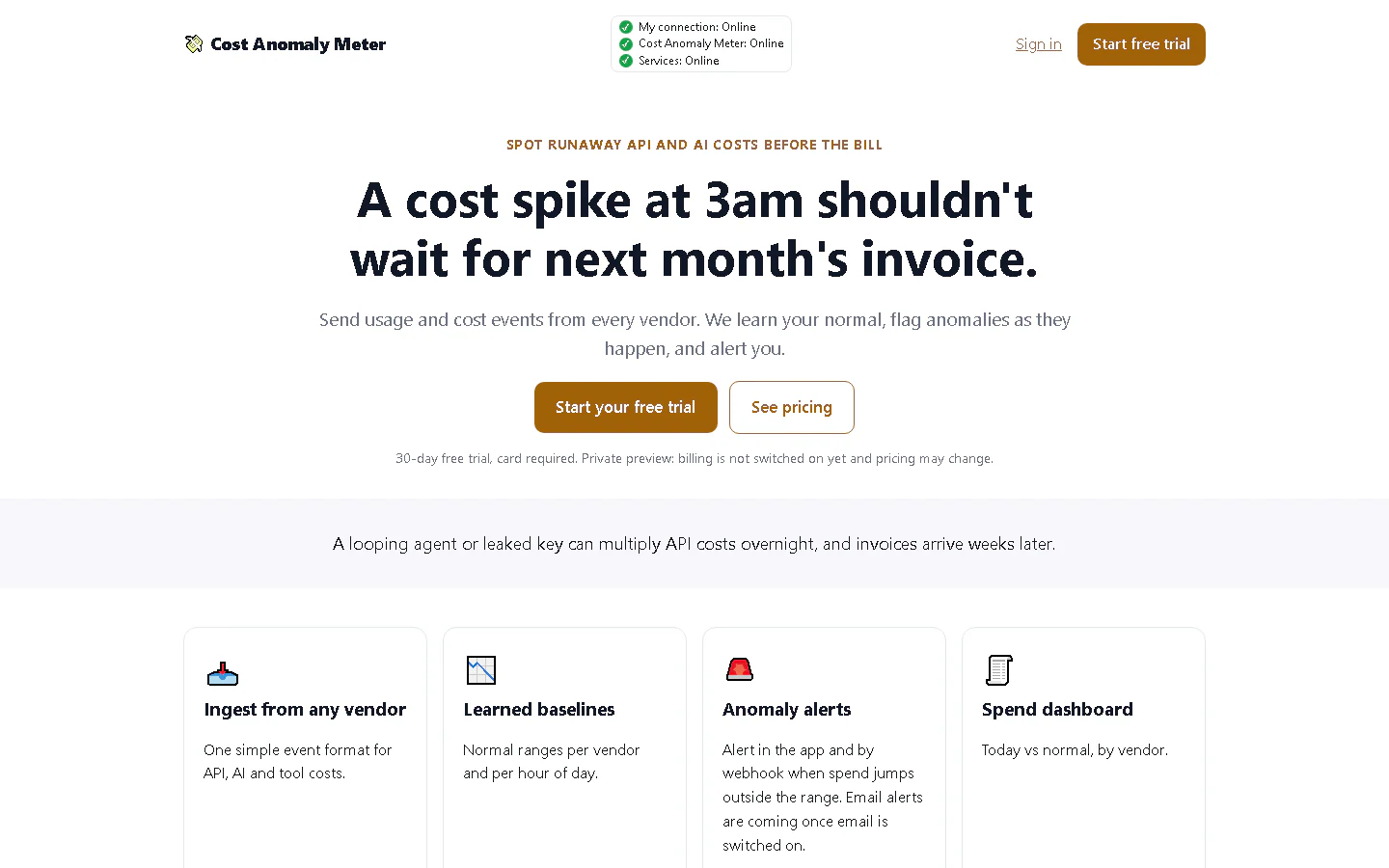 Cost Anomaly Meter landing page headline: A cost spike at 3am shouldn't wait for next month's invoice.