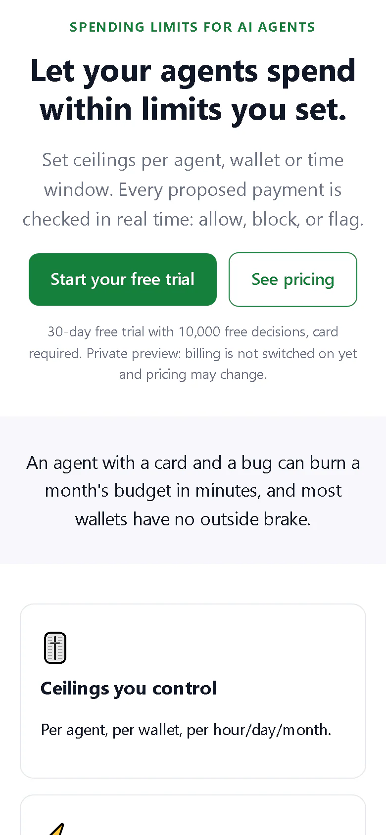 Spend Guardian landing page on a phone-sized screen